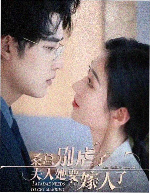 归途列车热播剧集海报